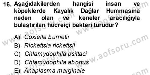 Veteriner Mikrobiyoloji ve Epidemiyoloji Dersi 2013 - 2014 Yılı (Final) Dönem Sonu Sınav Soruları 16. Soru