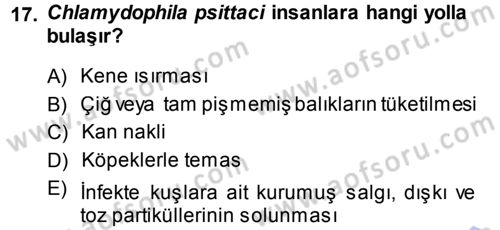 Veteriner Mikrobiyoloji ve Epidemiyoloji Dersi 2013 - 2014 Yılı (Final) Dönem Sonu Sınavı 17. Soru