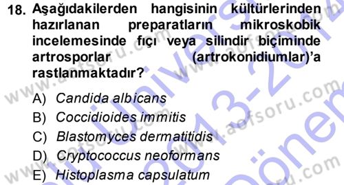 Veteriner Mikrobiyoloji ve Epidemiyoloji Dersi 2013 - 2014 Yılı (Final) Dönem Sonu Sınavı 18. Soru