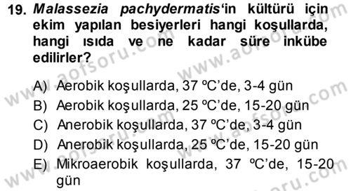 Veteriner Mikrobiyoloji ve Epidemiyoloji Dersi 2013 - 2014 Yılı (Final) Dönem Sonu Sınav Soruları 19. Soru