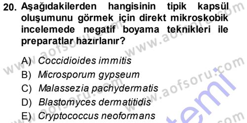 Veteriner Mikrobiyoloji ve Epidemiyoloji Dersi 2013 - 2014 Yılı (Final) Dönem Sonu Sınav Soruları 20. Soru