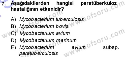 Veteriner Mikrobiyoloji ve Epidemiyoloji Dersi 2013 - 2014 Yılı (Final) Dönem Sonu Sınavı 7. Soru