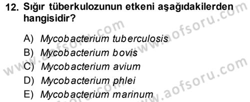Veteriner Mikrobiyoloji ve Epidemiyoloji Dersi 2013 - 2014 Yılı Tek Ders Sınav Soruları 12. Soru