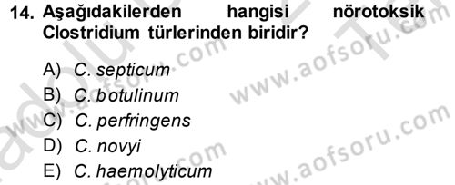 Veteriner Mikrobiyoloji ve Epidemiyoloji Dersi 2013 - 2014 Yılı Tek Ders Sınavı 14. Soru