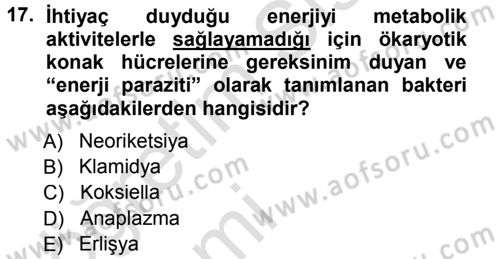 Veteriner Mikrobiyoloji ve Epidemiyoloji Dersi 2013 - 2014 Yılı Tek Ders Sınav Soruları 17. Soru