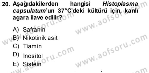 Veteriner Mikrobiyoloji ve Epidemiyoloji Dersi 2013 - 2014 Yılı Tek Ders Sınav Soruları 20. Soru