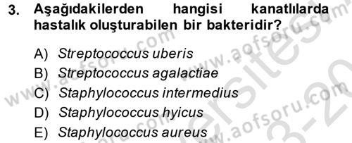 Veteriner Mikrobiyoloji ve Epidemiyoloji Dersi 2013 - 2014 Yılı Tek Ders Sınavı 3. Soru