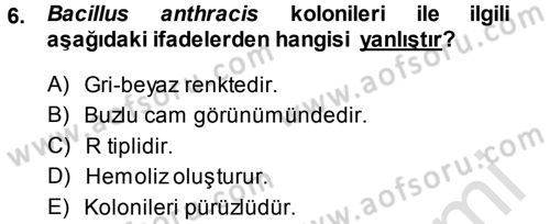 Veteriner Mikrobiyoloji ve Epidemiyoloji Dersi 2013 - 2014 Yılı Tek Ders Sınav Soruları 6. Soru