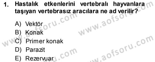 Veteriner Mikrobiyoloji ve Epidemiyoloji Dersi 2014 - 2015 Yılı (Vize) Ara Sınav Soruları 1. Soru