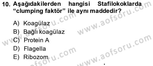 Veteriner Mikrobiyoloji ve Epidemiyoloji Dersi 2014 - 2015 Yılı (Vize) Ara Sınav Soruları 10. Soru