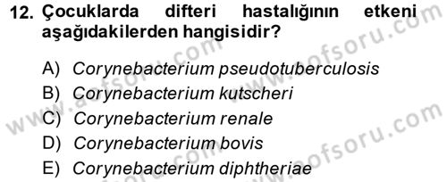 Veteriner Mikrobiyoloji ve Epidemiyoloji Dersi 2014 - 2015 Yılı (Vize) Ara Sınav Soruları 12. Soru
