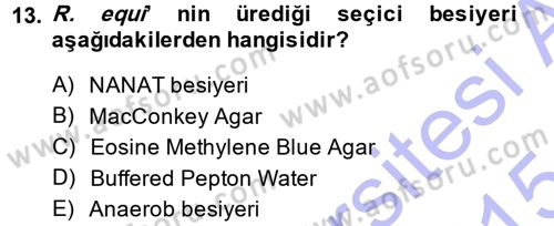 Veteriner Mikrobiyoloji ve Epidemiyoloji Dersi 2014 - 2015 Yılı (Vize) Ara Sınav Soruları 13. Soru