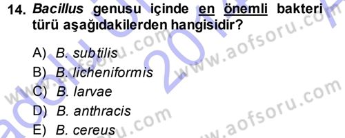 Veteriner Mikrobiyoloji ve Epidemiyoloji Dersi 2014 - 2015 Yılı (Vize) Ara Sınav Soruları 14. Soru