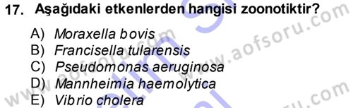Veteriner Mikrobiyoloji ve Epidemiyoloji Dersi 2014 - 2015 Yılı (Vize) Ara Sınav Soruları 17. Soru