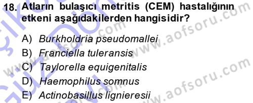 Veteriner Mikrobiyoloji ve Epidemiyoloji Dersi Ara Sınavı Deneme Sınav Soruları 18. Soru