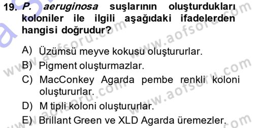 Veteriner Mikrobiyoloji ve Epidemiyoloji Dersi 2014 - 2015 Yılı (Vize) Ara Sınavı 19. Soru