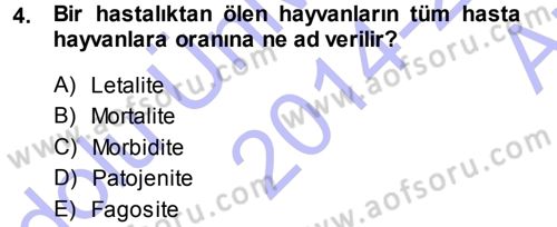 Veteriner Mikrobiyoloji ve Epidemiyoloji Dersi 2014 - 2015 Yılı (Vize) Ara Sınav Soruları 4. Soru