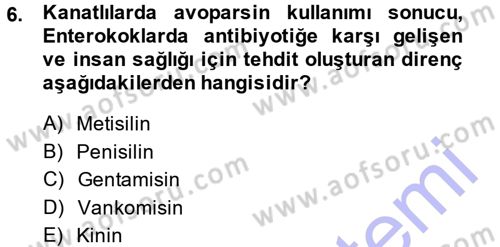 Veteriner Mikrobiyoloji ve Epidemiyoloji Dersi 2014 - 2015 Yılı (Vize) Ara Sınav Soruları 6. Soru