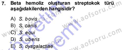 Veteriner Mikrobiyoloji ve Epidemiyoloji Dersi 2014 - 2015 Yılı (Vize) Ara Sınavı 7. Soru