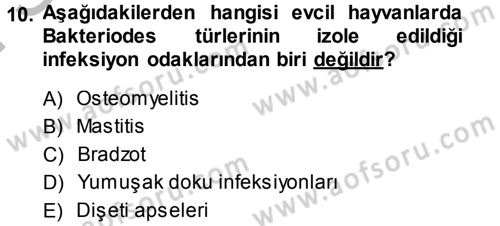 Veteriner Mikrobiyoloji ve Epidemiyoloji Dersi 2014 - 2015 Yılı (Final) Dönem Sonu Sınav Soruları 10. Soru