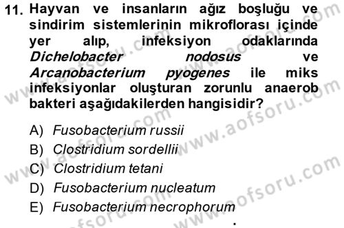 Veteriner Mikrobiyoloji ve Epidemiyoloji Dersi 2014 - 2015 Yılı (Final) Dönem Sonu Sınav Soruları 11. Soru
