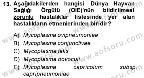 Veteriner Mikrobiyoloji ve Epidemiyoloji Dersi 2014 - 2015 Yılı (Final) Dönem Sonu Sınav Soruları 13. Soru