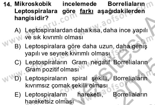Veteriner Mikrobiyoloji ve Epidemiyoloji Dersi 2014 - 2015 Yılı (Final) Dönem Sonu Sınav Soruları 14. Soru