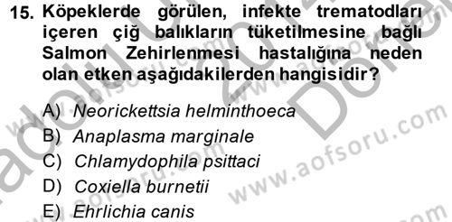 Veteriner Mikrobiyoloji ve Epidemiyoloji Dersi 2014 - 2015 Yılı (Final) Dönem Sonu Sınav Soruları 15. Soru
