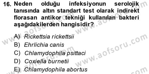 Veteriner Mikrobiyoloji ve Epidemiyoloji Dersi 2014 - 2015 Yılı (Final) Dönem Sonu Sınav Soruları 16. Soru