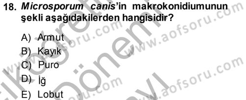 Veteriner Mikrobiyoloji ve Epidemiyoloji Dersi 2014 - 2015 Yılı (Final) Dönem Sonu Sınav Soruları 18. Soru