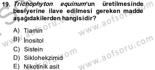 Veteriner Mikrobiyoloji ve Epidemiyoloji Dersi 2014 - 2015 Yılı (Final) Dönem Sonu Sınav Soruları 19. Soru