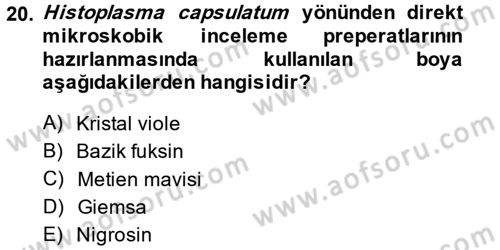Veteriner Mikrobiyoloji ve Epidemiyoloji Dersi 2014 - 2015 Yılı (Final) Dönem Sonu Sınav Soruları 20. Soru