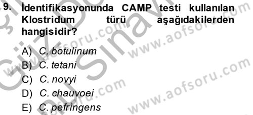 Veteriner Mikrobiyoloji ve Epidemiyoloji Dersi 2014 - 2015 Yılı (Final) Dönem Sonu Sınav Soruları 9. Soru
