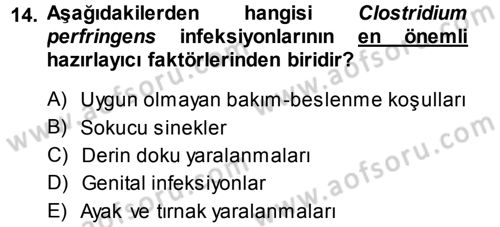 Veteriner Mikrobiyoloji ve Epidemiyoloji Dersi 2014 - 2015 Yılı Tek Ders Sınavı 14. Soru