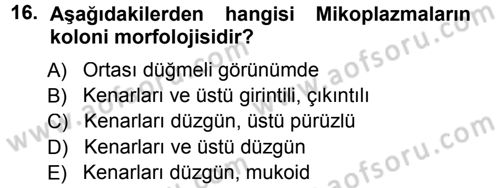 Veteriner Mikrobiyoloji ve Epidemiyoloji Dersi 2014 - 2015 Yılı Tek Ders Sınavı 16. Soru