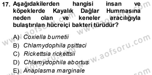 Veteriner Mikrobiyoloji ve Epidemiyoloji Dersi 2014 - 2015 Yılı Tek Ders Sınav Soruları 17. Soru