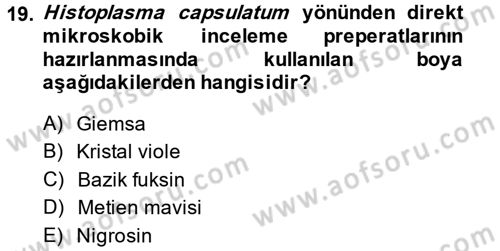 Veteriner Mikrobiyoloji ve Epidemiyoloji Dersi 2014 - 2015 Yılı Tek Ders Sınav Soruları 19. Soru