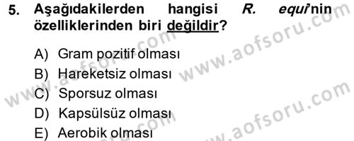 Veteriner Mikrobiyoloji ve Epidemiyoloji Dersi 2014 - 2015 Yılı Tek Ders Sınav Soruları 5. Soru