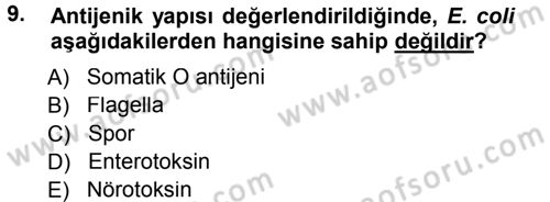 Veteriner Mikrobiyoloji ve Epidemiyoloji Dersi 2014 - 2015 Yılı Tek Ders Sınavı 9. Soru