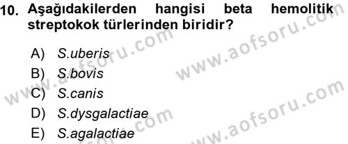 Veteriner Mikrobiyoloji ve Epidemiyoloji Dersi 2015 - 2016 Yılı (Vize) Ara Sınav Soruları 10. Soru