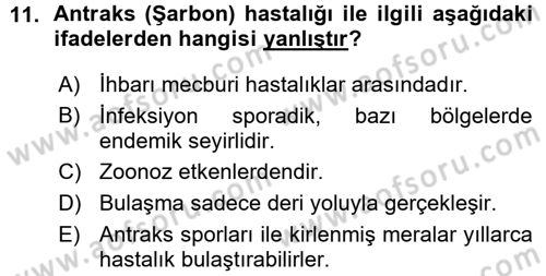 Veteriner Mikrobiyoloji ve Epidemiyoloji Dersi 2015 - 2016 Yılı (Vize) Ara Sınav Soruları 11. Soru