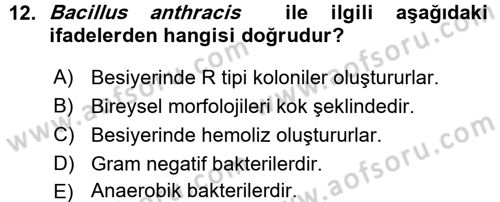 Veteriner Mikrobiyoloji ve Epidemiyoloji Dersi Ara Sınavı Deneme Sınav Soruları 12. Soru