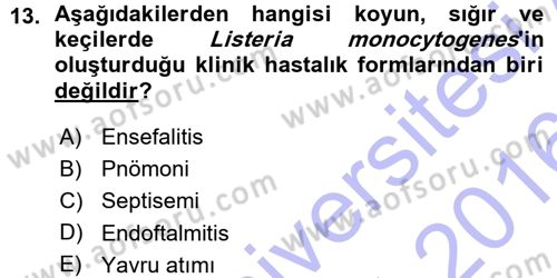 Veteriner Mikrobiyoloji ve Epidemiyoloji Dersi 2015 - 2016 Yılı (Vize) Ara Sınav Soruları 13. Soru