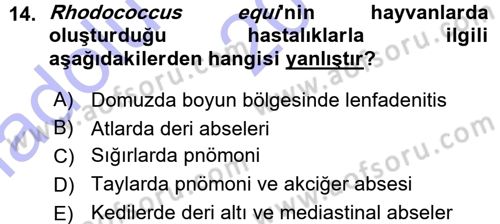 Veteriner Mikrobiyoloji ve Epidemiyoloji Dersi 2015 - 2016 Yılı (Vize) Ara Sınav Soruları 14. Soru