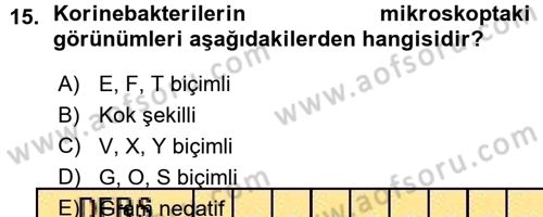 Veteriner Mikrobiyoloji ve Epidemiyoloji Dersi 2015 - 2016 Yılı (Vize) Ara Sınav Soruları 15. Soru
