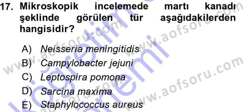 Veteriner Mikrobiyoloji ve Epidemiyoloji Dersi 2015 - 2016 Yılı (Vize) Ara Sınav Soruları 17. Soru