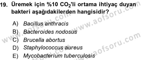 Veteriner Mikrobiyoloji ve Epidemiyoloji Dersi 2015 - 2016 Yılı (Vize) Ara Sınav Soruları 19. Soru