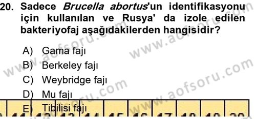 Veteriner Mikrobiyoloji ve Epidemiyoloji Dersi 2015 - 2016 Yılı (Vize) Ara Sınav Soruları 20. Soru