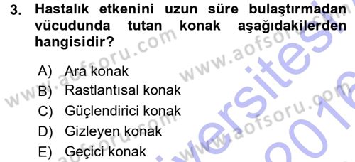 Veteriner Mikrobiyoloji ve Epidemiyoloji Dersi Ara Sınavı Deneme Sınav Soruları 3. Soru