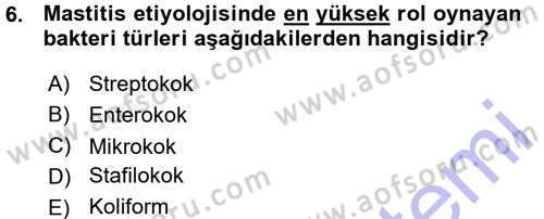 Veteriner Mikrobiyoloji ve Epidemiyoloji Dersi 2015 - 2016 Yılı (Vize) Ara Sınav Soruları 6. Soru